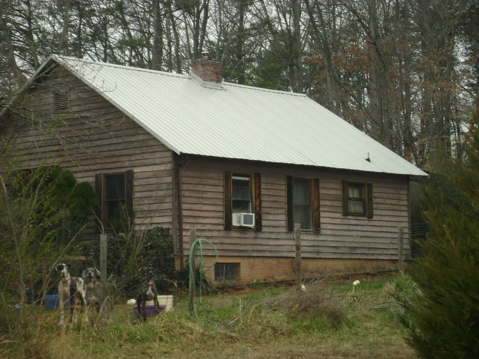 White metal roof on an old wood sided farmhouse, from a Asphalt Shingle Roof Repair job in Minford
